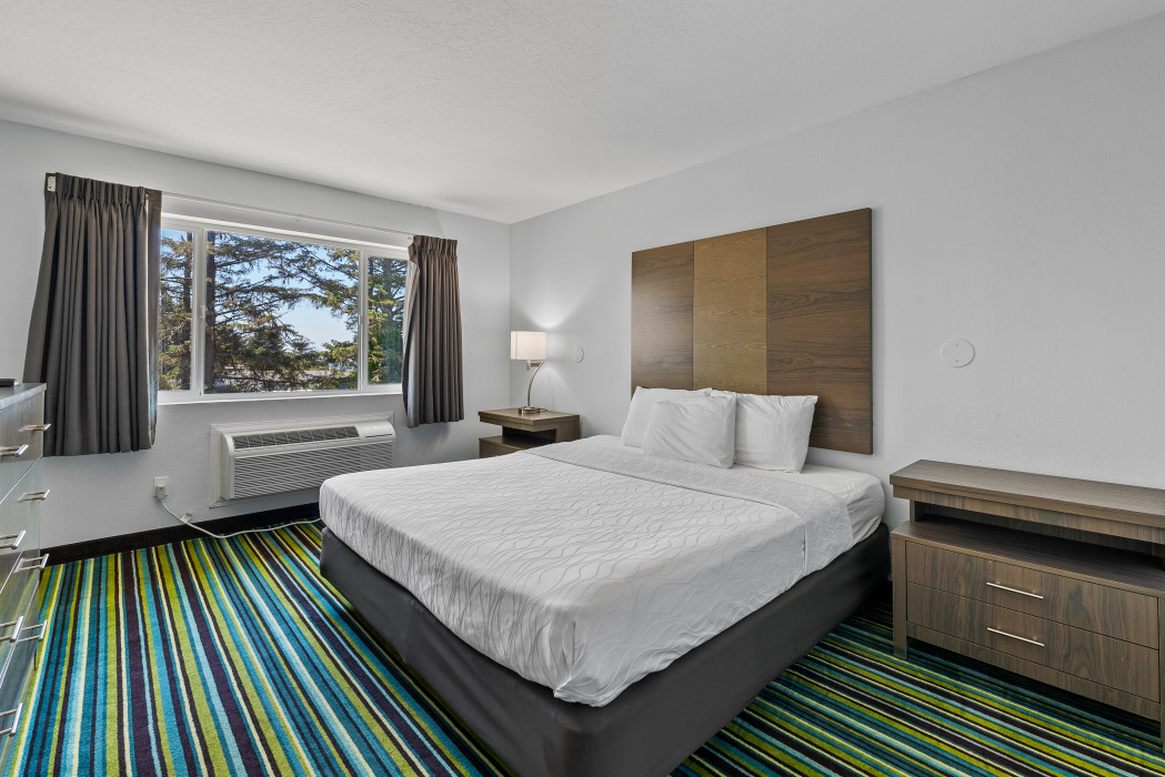 1 King Bed - Non-Smoking